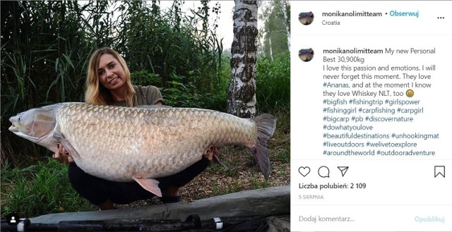 W sierpniu Monika Lechowska-Bacia była na ustach całego wędkarskiego świata. Podczas zawodów w Chorwacji Polka złowiła niespełna 31-kilogramowego amura! To nie pierwsza gigantyczna ryba, jaką złapała w trakcie rozwijania swojej pasji. Obejrzyj galerię z gigantycznymi okazami, jakie połknęły haczyk Lechowskiej-Baci. W tym również ten rekordowy!