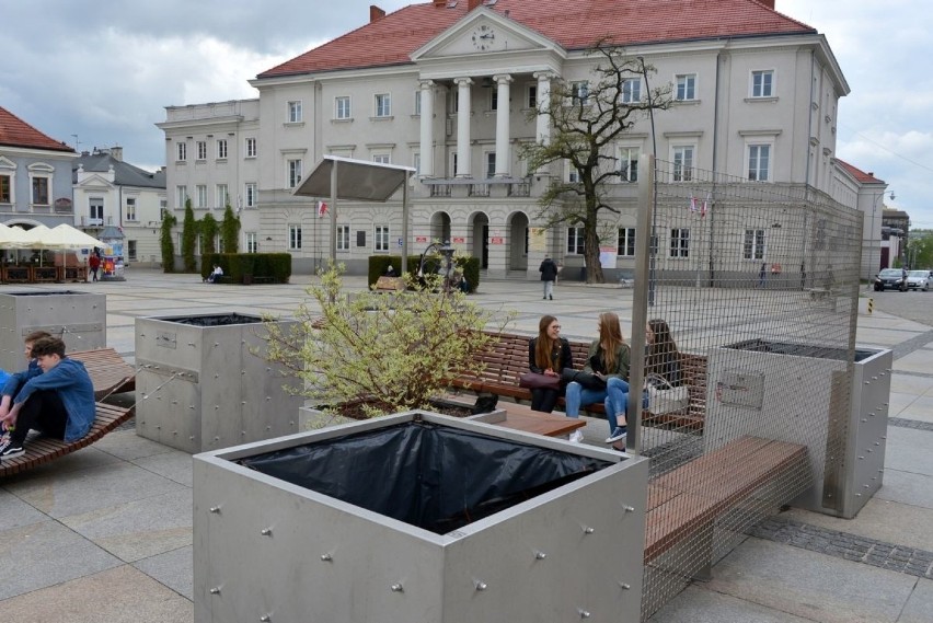 Skandal ze słynnymi donicami na kieleckim Rynku, będą puste do jesieni!