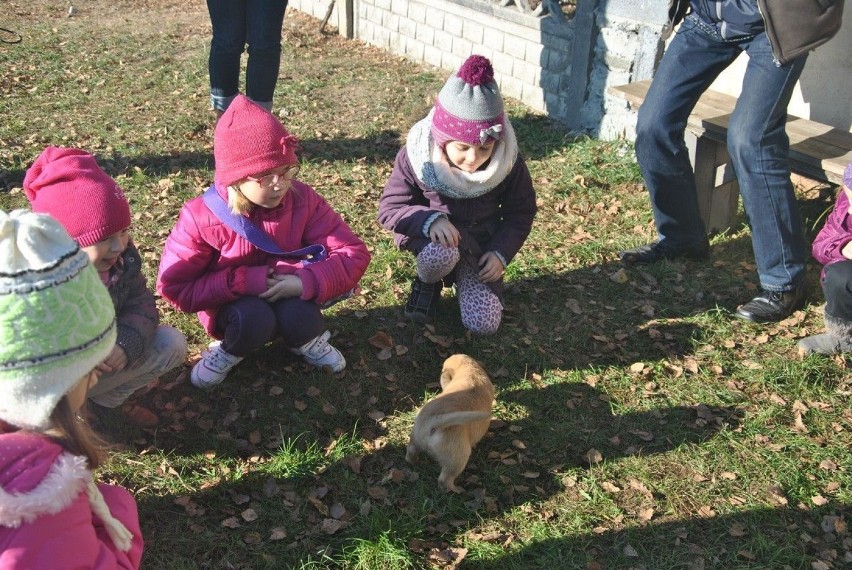 Młodzież z wizytą w schronisku dla psów i kotów