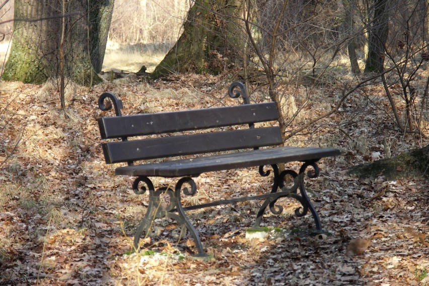 Kilka lat temu w parku pojawiły się nowe ławeczki fundacji...