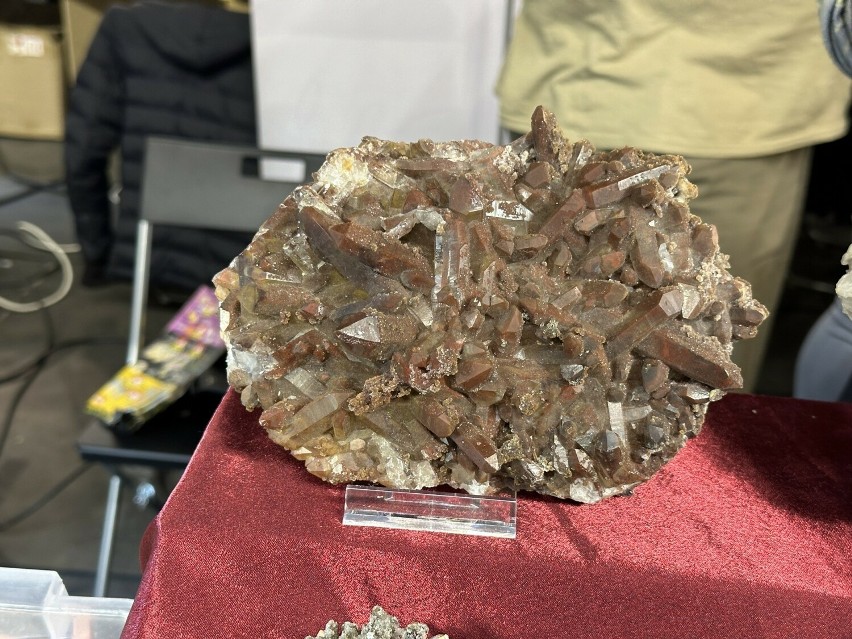 Unikalne okazy na giełdzie minerałów i biżuterii GeoExpo w Radomiu. Zobacz zdjęcia