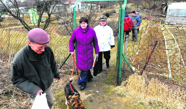 Ludzie zapowiadają walkę o swoje ogródki. Miasto twierdzi, że nie działa przeciwko nim