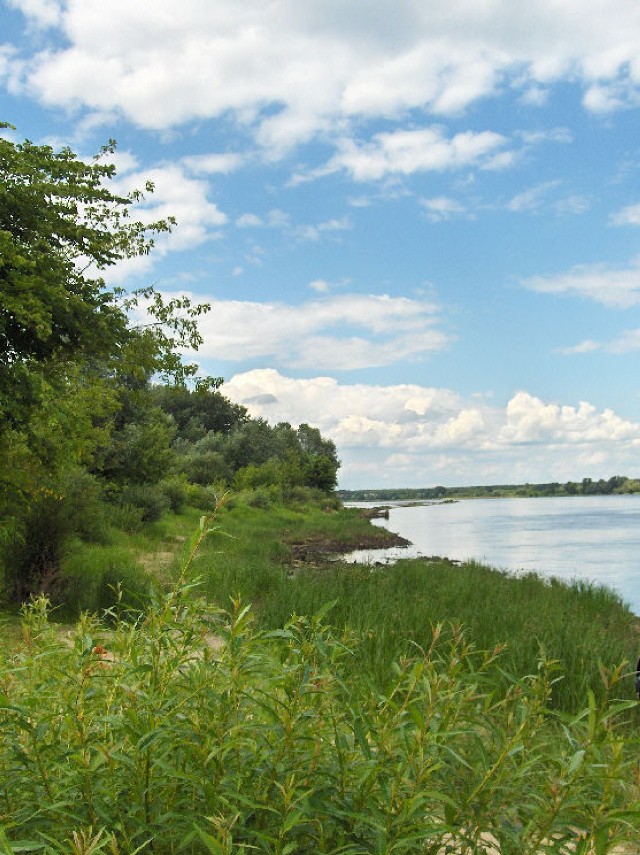 Po łacinie i angielsku Vistula, a po niemiecku Weichsel. Fot. Mirosława Kasowska