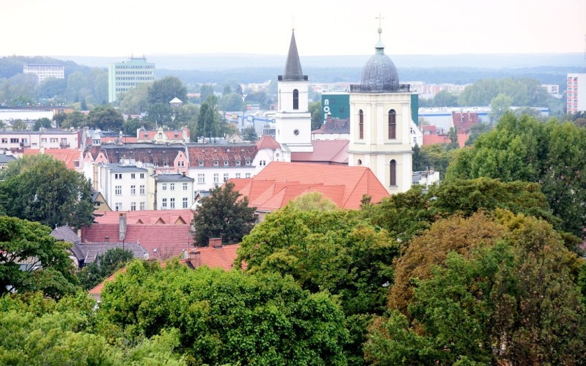 Mieszkańcy Zielonej Góry są jak najbardziej za powstanie...