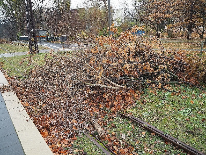 Kolejna linia tramwajowa w Łodzi, po której tramwaje nie pojadą. Ukradli sieć trakcyjną na Niższej w Łodzi