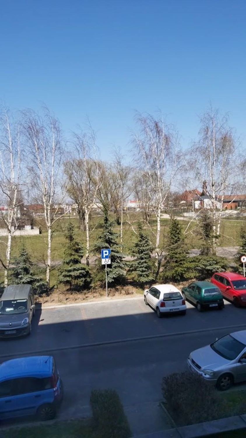 Wasz widok zza okna: zdjęcia mieszkańców powiatu wolsztyńskiego i okolic