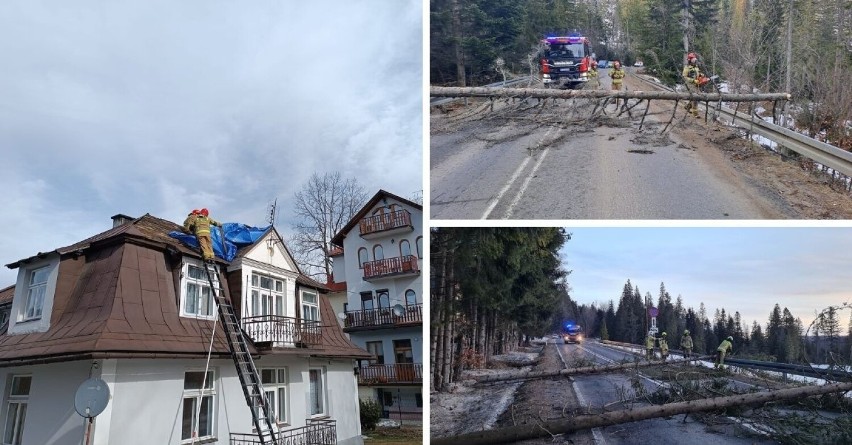 Wichura dała się we znaki na Podhalu. Powalała drzewa,...