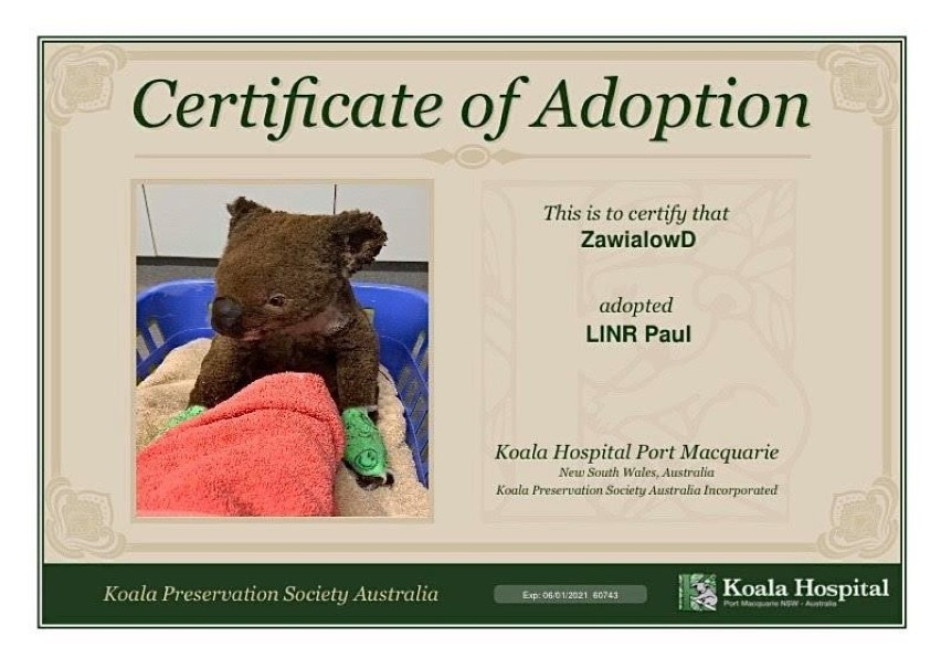 Zachęcam Was do adopcji koali na stronie tego szpitala -...
