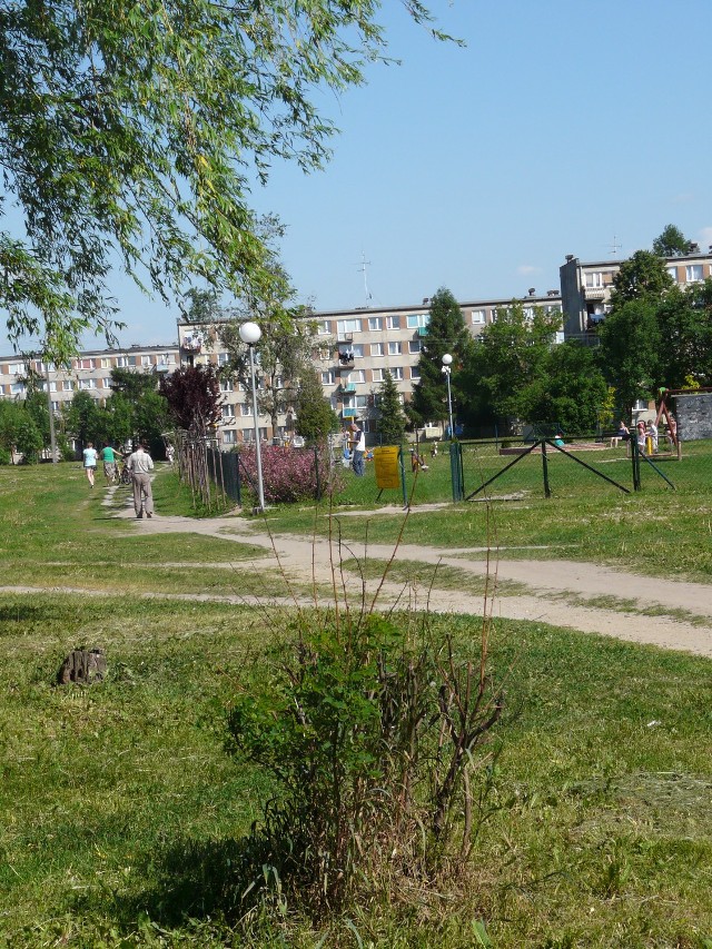 Teren przy "wielorybku" czeka na zagospodarowanie