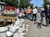 Targ staroci w Radomsku. Co można kupić na radomszczańskim pchlim targu? Zdarzają się prawdziwe skarby! ZDJĘCIA