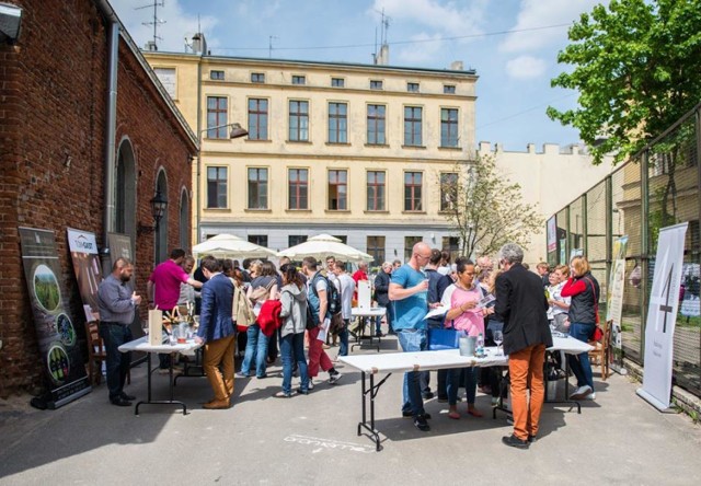 Festiwal Win w podwórzu Piotrkowskiej 217