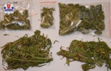 Krasnystaw. 150 gramów marihuany u 28-latka
