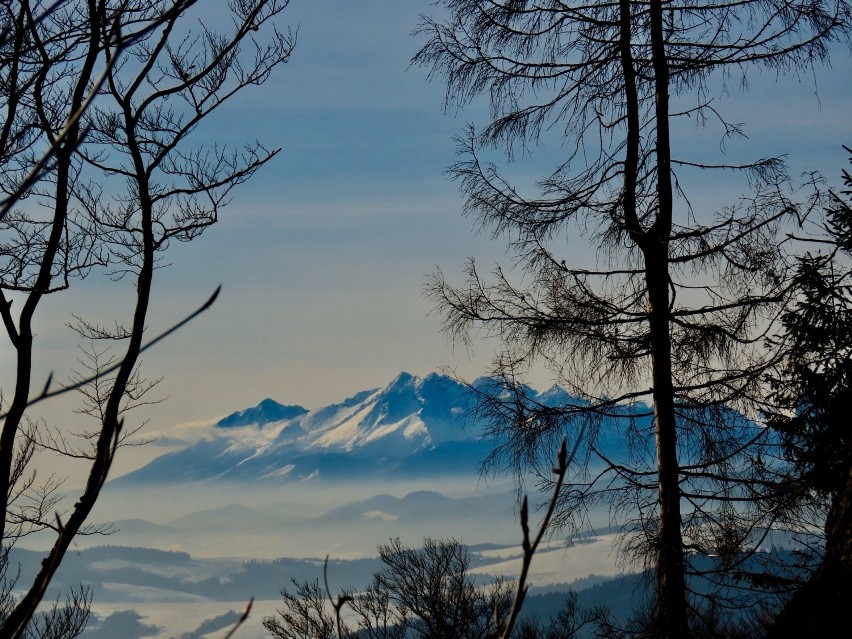 Tatry widziane z Pustej Wielkiej