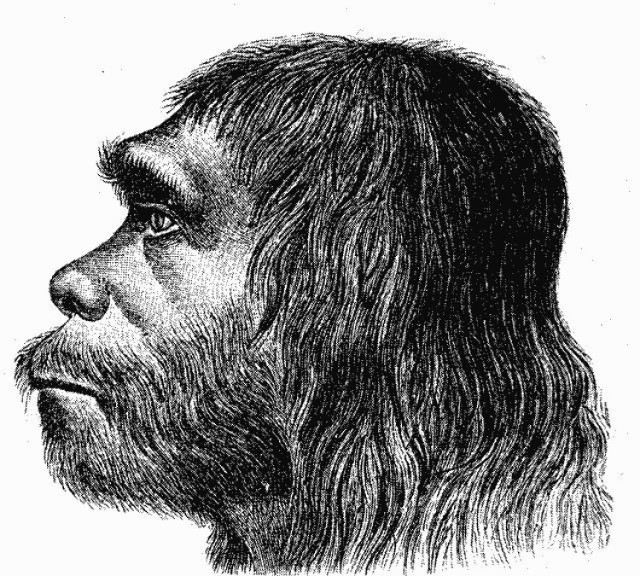 http://pl.wikipedia.org/w/index.php?title=Plik:Neanderthaler_Fund.png&filetimestamp=20060905074715