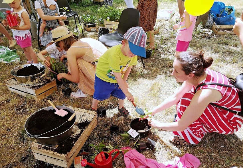 Kraków. Wianki na Wesołej, czyli ekologiczny piknik dla całej rodziny