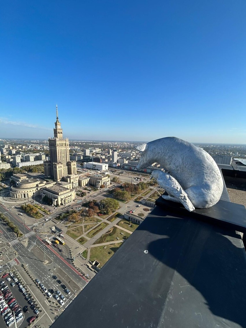 Na dachu Hotelu Marriott w Warszawie zainstalowano rzeźbę