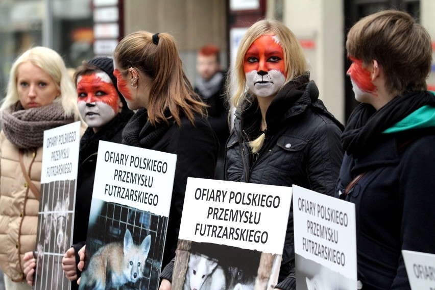 Wrocław: Protestowali przeciw hodowli zwierząt na futra (ZDJĘCIA)