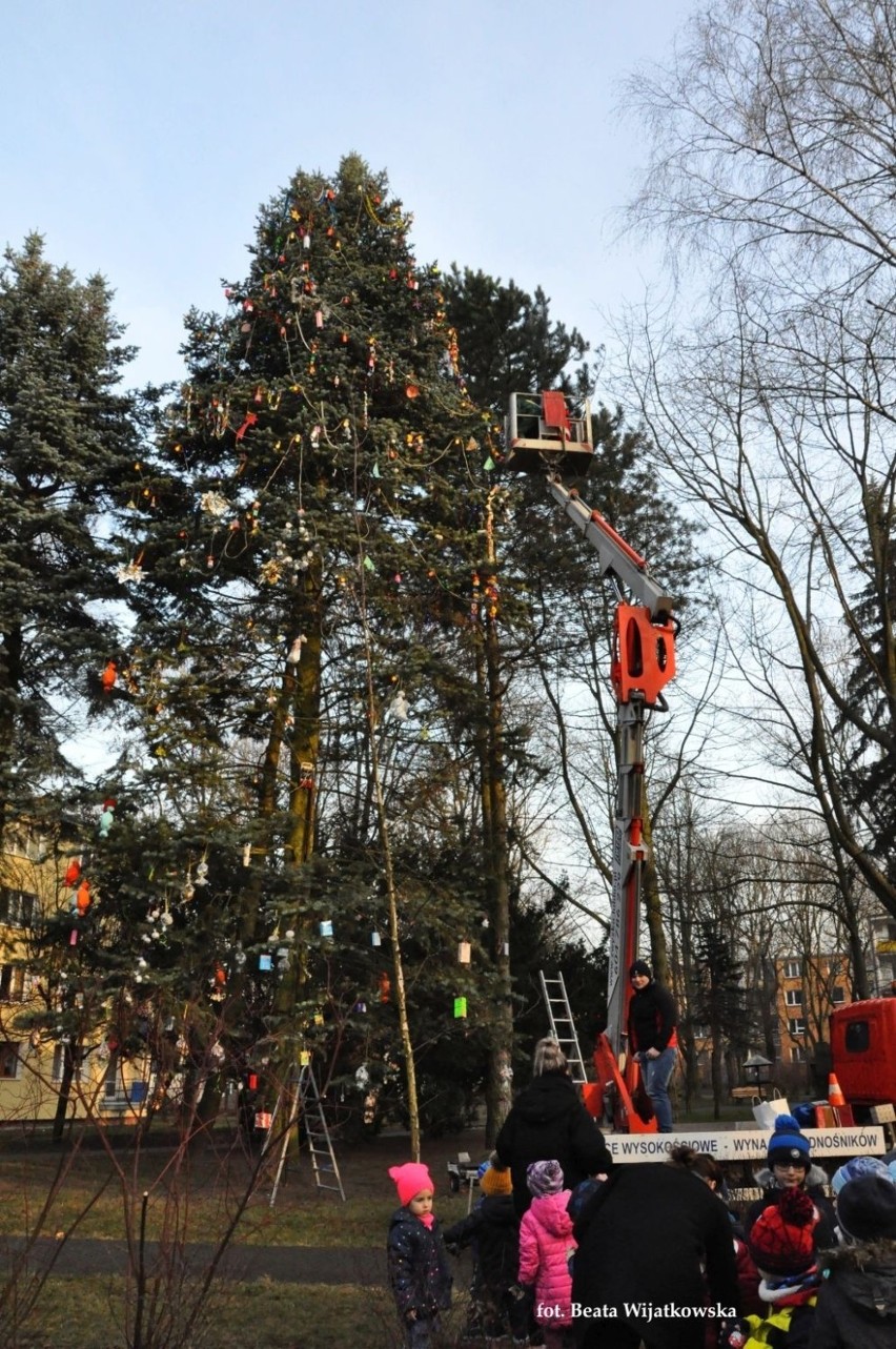 Tradycji stanie się zadość! Mieszkańcy LSM wezmą udział w świątecznej zabawie 