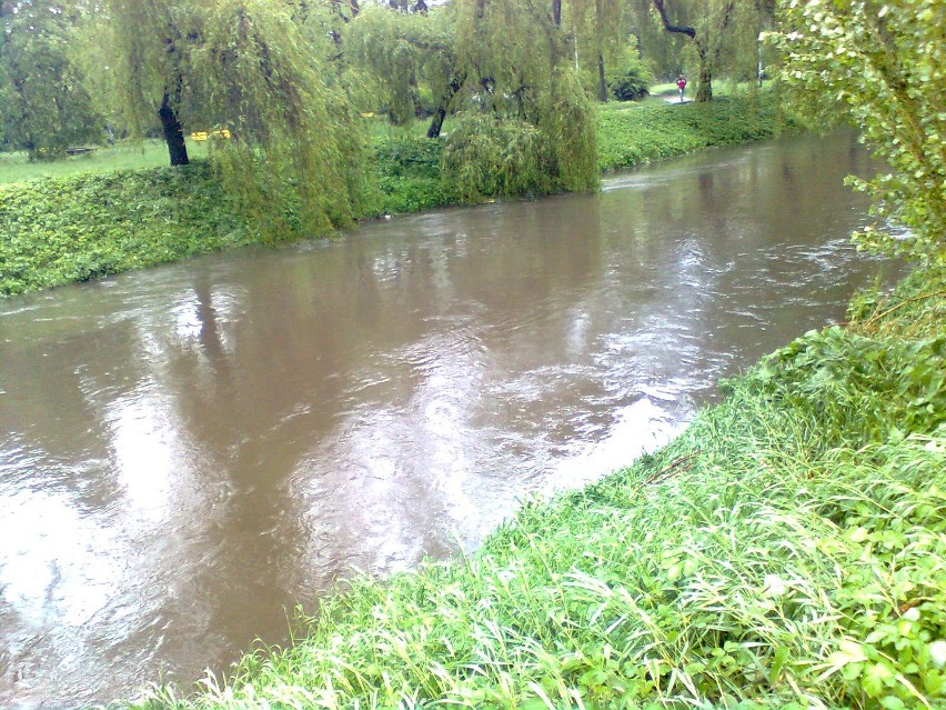 Sosnowiec Czarna Przemsza -Park Sielecki