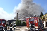Pożar w Borkowie. Spłonęła hala produkcyjna koło Gdańska [ZDJĘCIA, WIDEO]