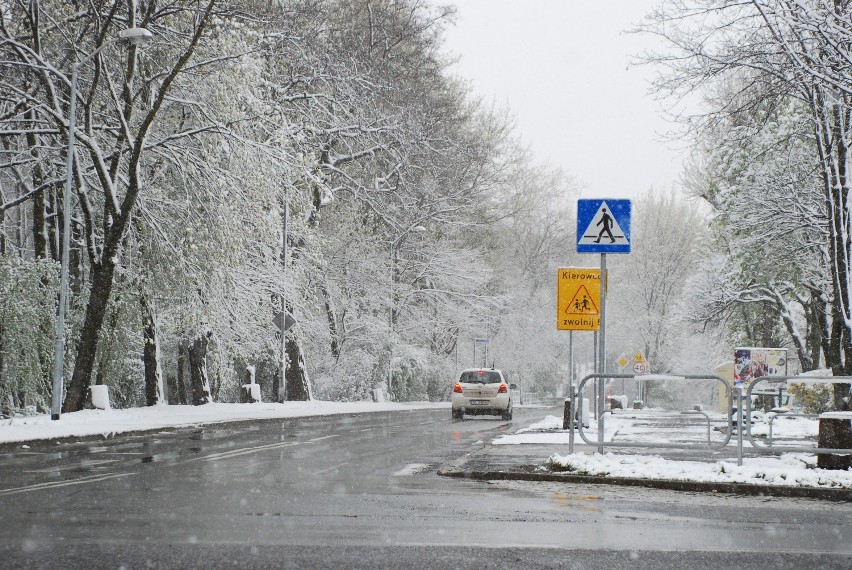 Ruda Śląska: Atak zimy. Pługi odśnieżają drogi ZDJĘCIA