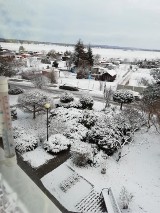 Poranna śnieżyca zaskoczyła mieszkańców powiatu chodzieskiego.