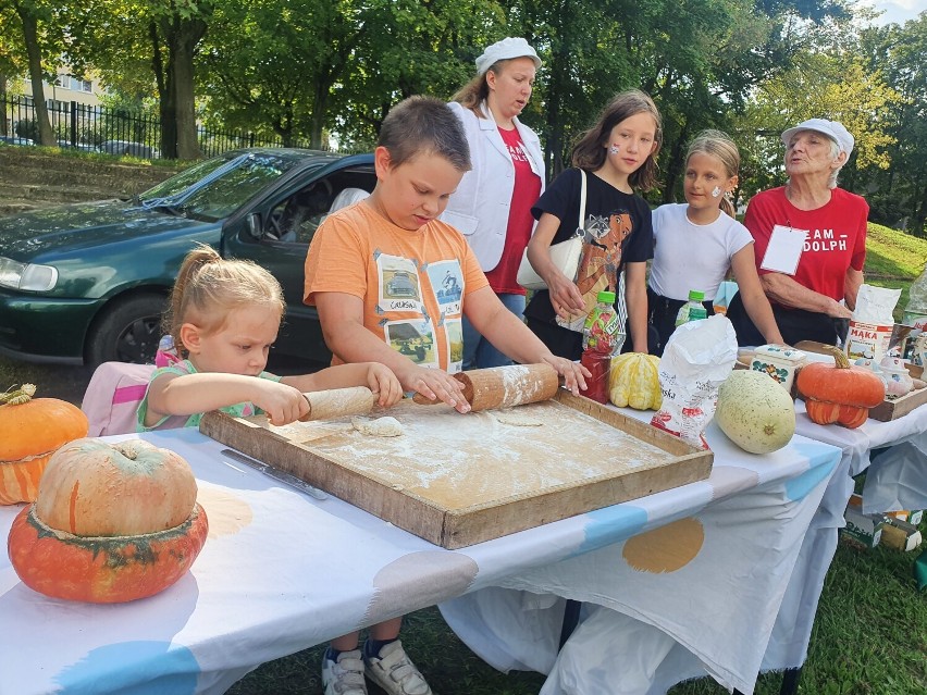 Piknik rodzinny "PanDa dla zwierząt" na boisku UJK w...