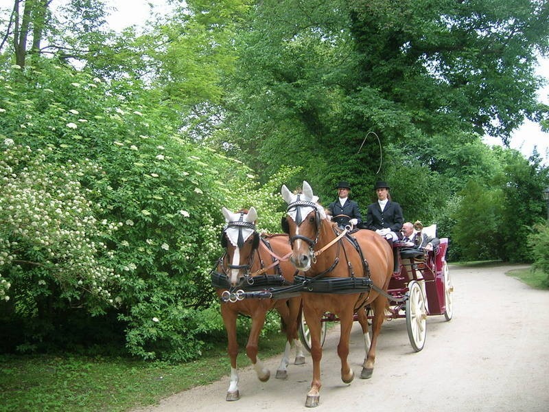 Park Mużakowski