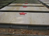 Odnowiono groby rosyjskich żołnierzy na ul. Witkowskiej
