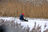 Motława skuta lodem. Gratka dla wędkarzy? [ZDJĘCIA]