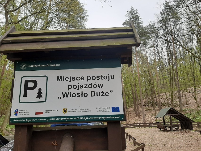 Gmina Gniew. Fundacja Klimat i Emocje zaprasza na leśny spacer medytacyjny