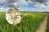 Tyle od maja 2023 kosztuje hektar ziemi rolnej. Grunty znów podrożały, średnio nawet ponad 100 tys. zł 