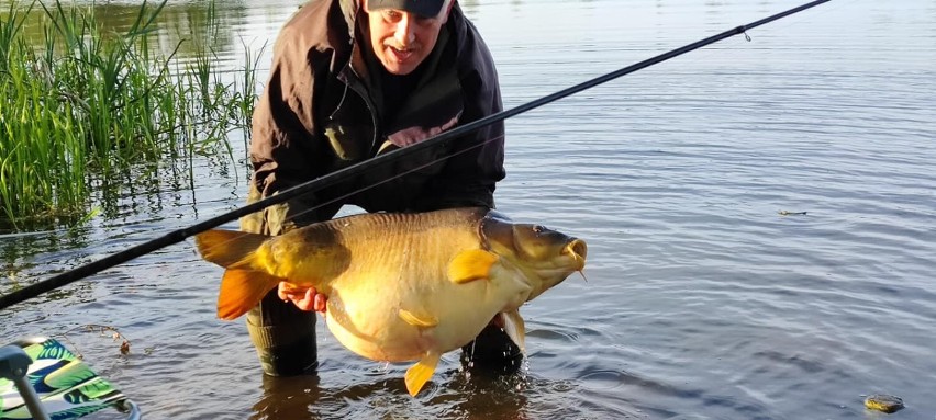 Taaaaaaaaka ryba wyłowiona z Jeziora Przechlewskiego! Rekordowy okaz złowił Marek Szymański z Przechlewa
