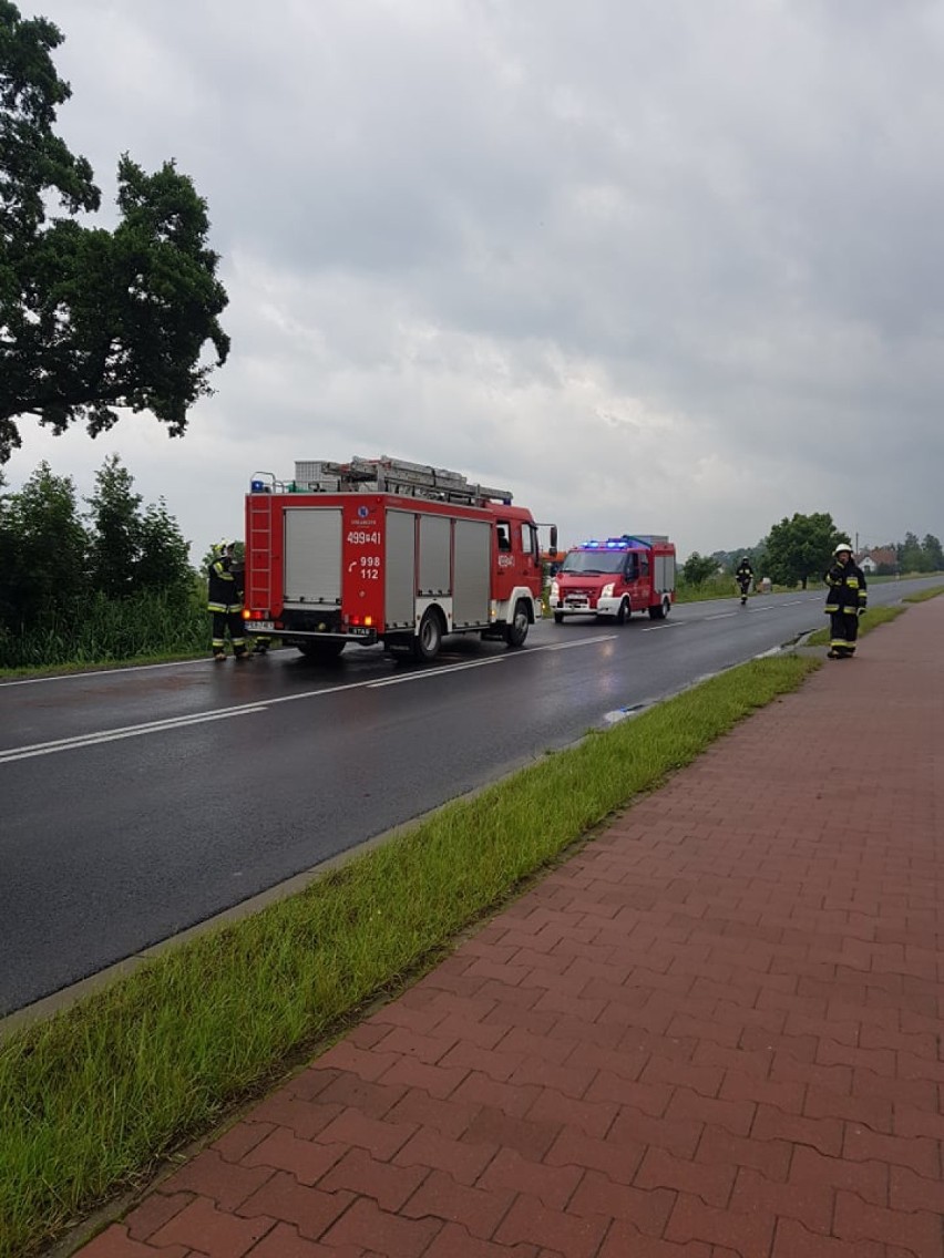 Strażacy usuwali substancję ropopochodną na długości ok. 4 km [ZDJĘCIA]            