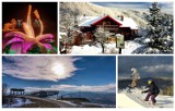Ferie 2023. Dolina Popradu kusi zimowymi atrakcjami. 12 propozycji na rodzinną wycieczkę. Zobacz zdjęcia
