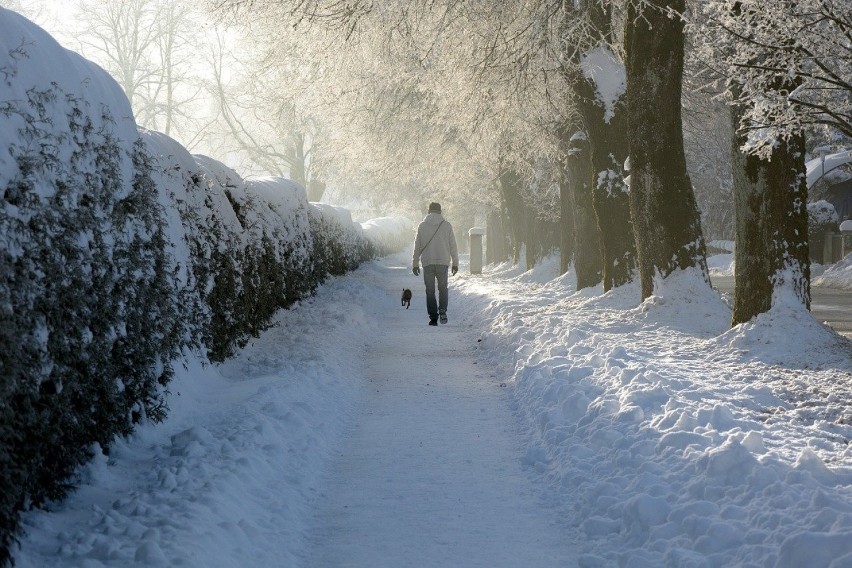 Wyż syberyjski idzie nad Śląskie. Będzie nawet -30 st. C....