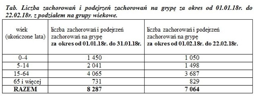 Grypa w Gnieźnie i powiecie - w lutym skierowano z tego powodu więcej osób do szpitala niż w styczniu