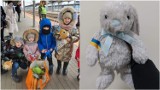 Akcja "Pluszak dla Malucha" w Tarnowie. Mieszkańcy przekazują maskotki, którymi obdarowywane są ukraińskie dzieci [ZDJĘCIA]