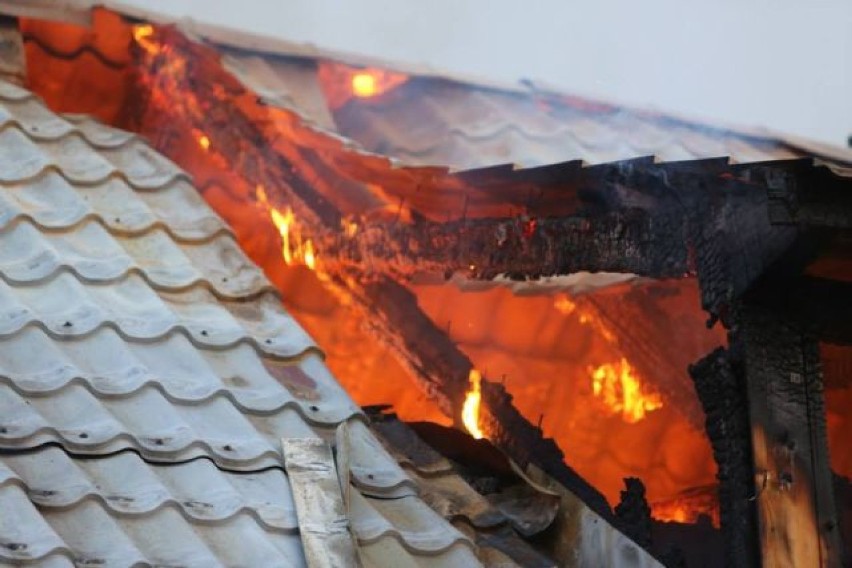 Pożar domu jednorodzinnego w Chojnie [ZDJĘCIA]