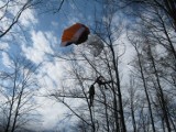 Międzybrodzie Żywieckie: Paralotniarz na drzewie [ZDJĘCIA]