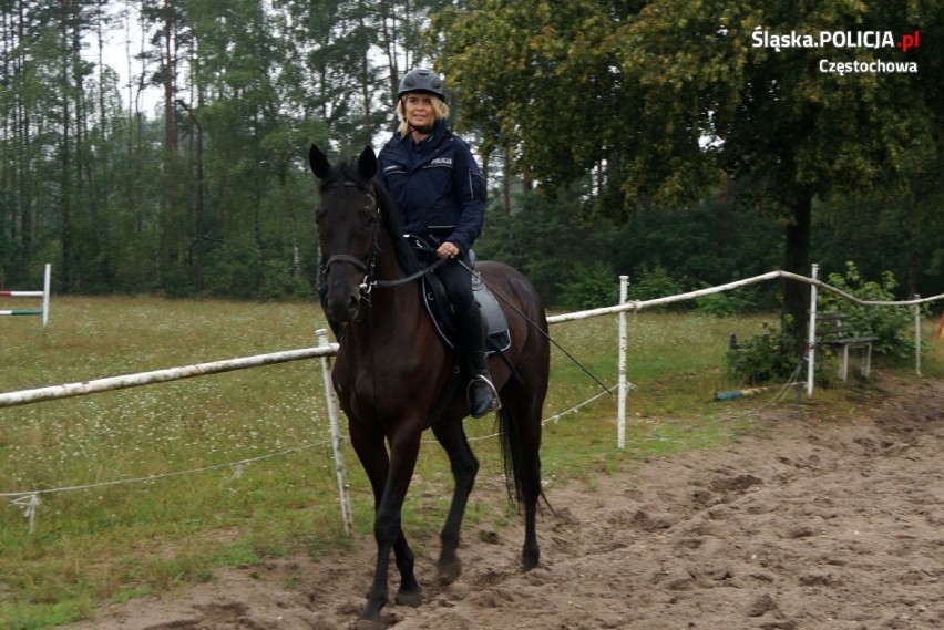 Epikur - nowy funkcjonariusz w częstochowskiej policji [konnej] ZDJĘCIA