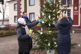 Przed budynkiem Starostwa Powiatowego w Jędrzejowie stanęła... "Bezpieczna Choinka". Starosta i wicestarosta ubrali drzewko w odblaski