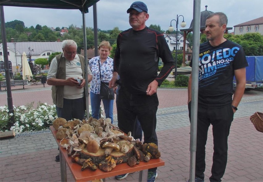 W Ryglicach amatorzy chodzenia po lasach z koszykami...