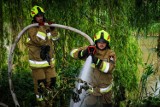 Wypadek w Krzyżanowie, pożary traw i snopków, przypalona potrawa. Tygodniowy raport KP PSP w Malborku