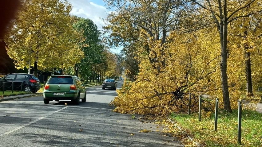 Wichury w całej Polsce. Coraz większa liczba zniszczeń i wypadków [ZDJĘCIA]