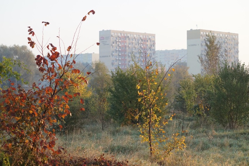 Park Solankowy jesienią [zdjęcia]