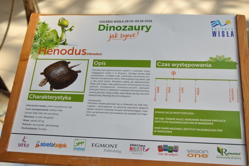 Dinozaury jak żywe! Wyjątkowa wystawa dla dzieci [GALERIA]