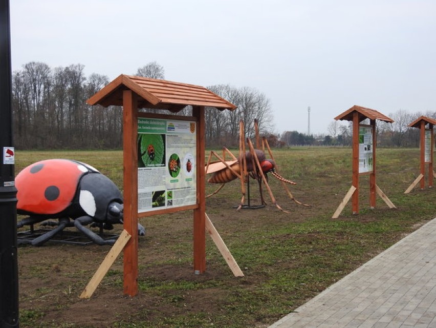 Nowa ścieżka edukacyjna w Czempiniu i ogromne owady