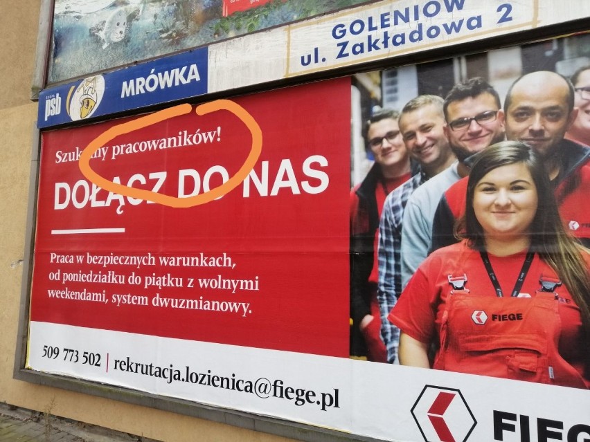 Wpadka wielkoformatowa. Kogo szuka firma z Goleniowskiego Parku Przemysłowego?