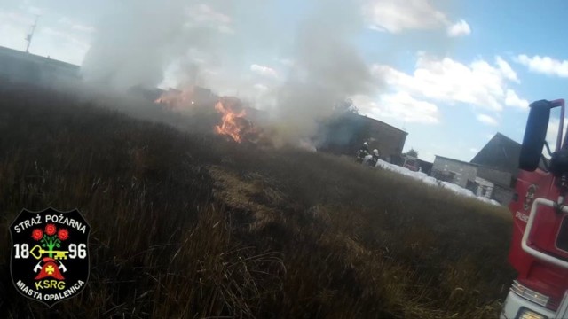 Niebezpieczny pożar w Opalenicy. Z ogniem walczyło 9 zastępów strażaków